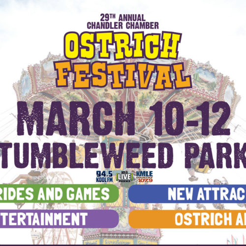 ostrich festival 2017 poster